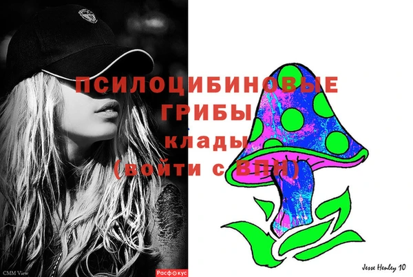 метадон Новодвинск