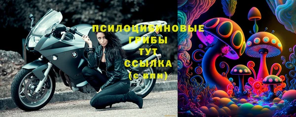 винт Новозыбков