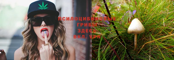 винт Новозыбков