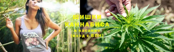 винт Новозыбков