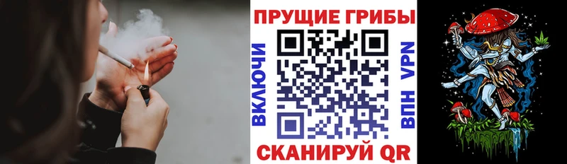 Купить где  Североуральск  Галлюциногенные грибы Cubensis 